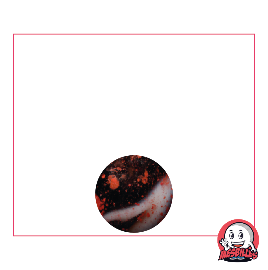 1 Biglia Dracula 12 mm